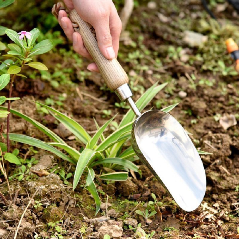 product-1-1 using for soil transfering(001)