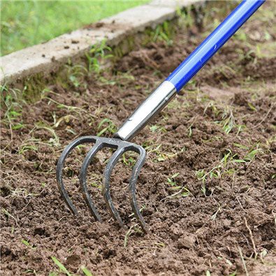 4 Prong Cultivator Long Handle Tool scene