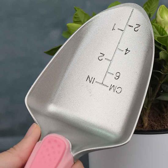 scaleofthesmallgardenshvoel