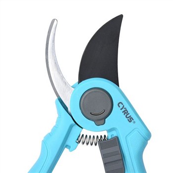 Mai multe modele LOGO utilizate în mod obișnuit de rinoceri