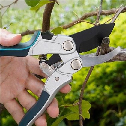 Selectarea tunderelor perfecte pentru pomii tăi de meri: Ghidul unui grădinar