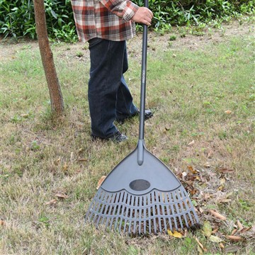 Cum ne pasă de Vinca în sezonul de iarnă?