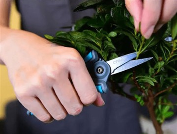 De ce am lansat foarfecele noi și mai mari