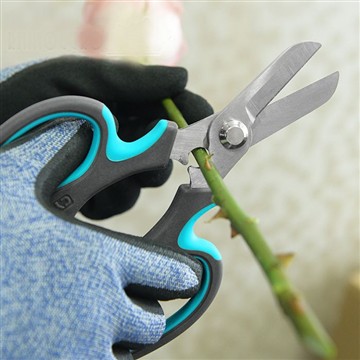 Începând grădina cu flori