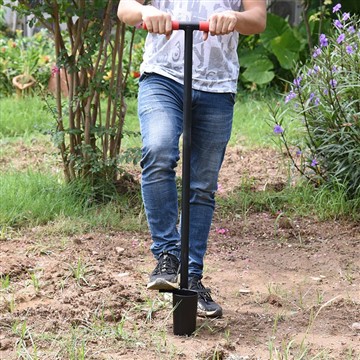 Cum să creezi o grădină scăzută - Grădină de frumusețe de întreținere?