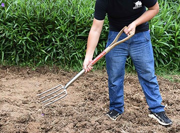 Scurtă introducere a culturii grădinii rusești