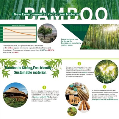 Sfaturi pentru un paradis înfloritor