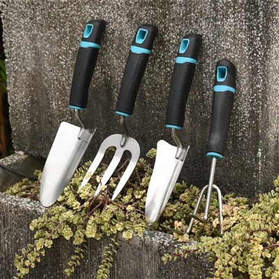 Îmbunătățiți-vă spațiul cu flori frumoase