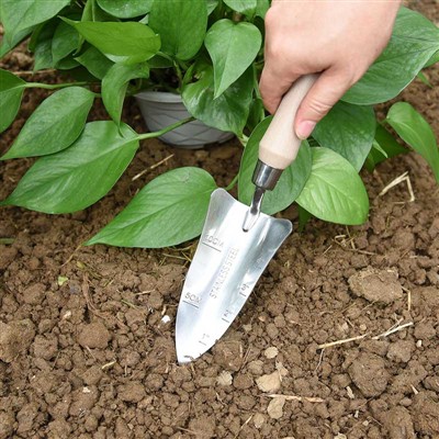 Jurnal de plantare a grădinii -1