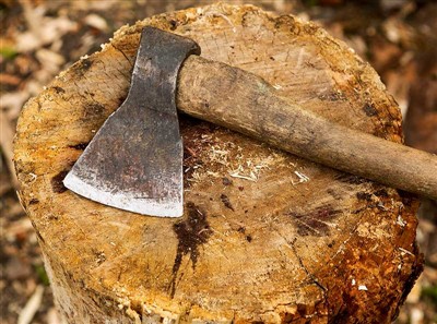 Instrumente de tăiat arbori și echipamente de siguranță