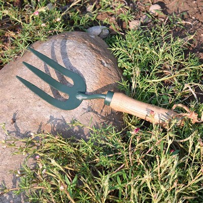 Aventurile de zi cu zi ale uneltelor de grădină