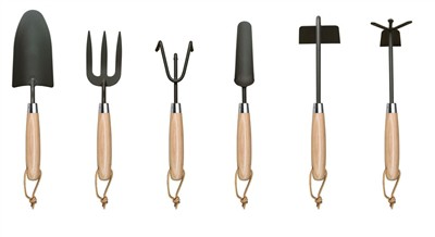 Plantarea roșiilor acasă