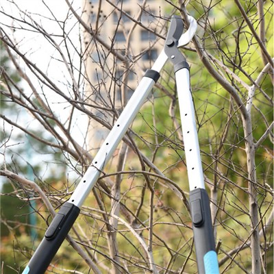 Grădinărit pentru persoane ocupate: sfaturi pentru îngrijirea grădinii dvs. c...