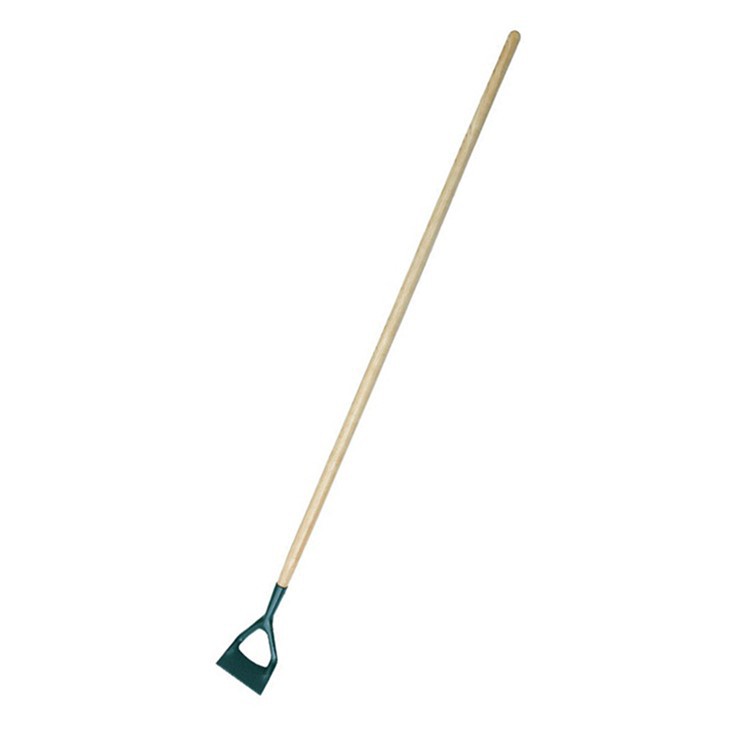 Sapa de gradina olandeza