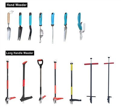 Cultivarea verde: îmbrățișarea durabilității în grădina dvs