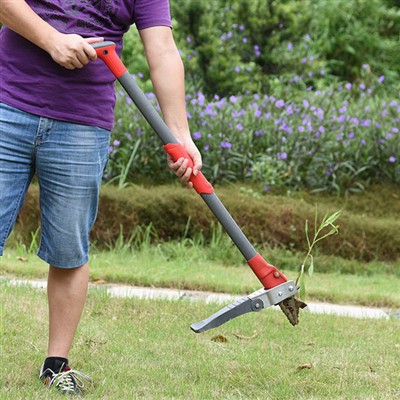 Cum să îndepărtați buruienile fără să vă îndoiți?
