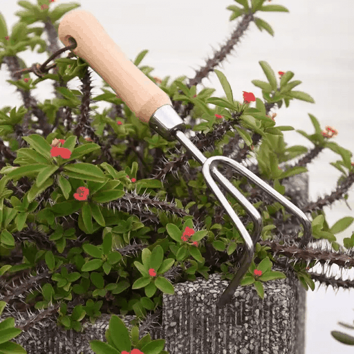 Three Prong Hand Cultivator Three Prong Hand Cultivator