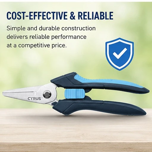 Cost-Efficient Construction Cost-Efficient Construction