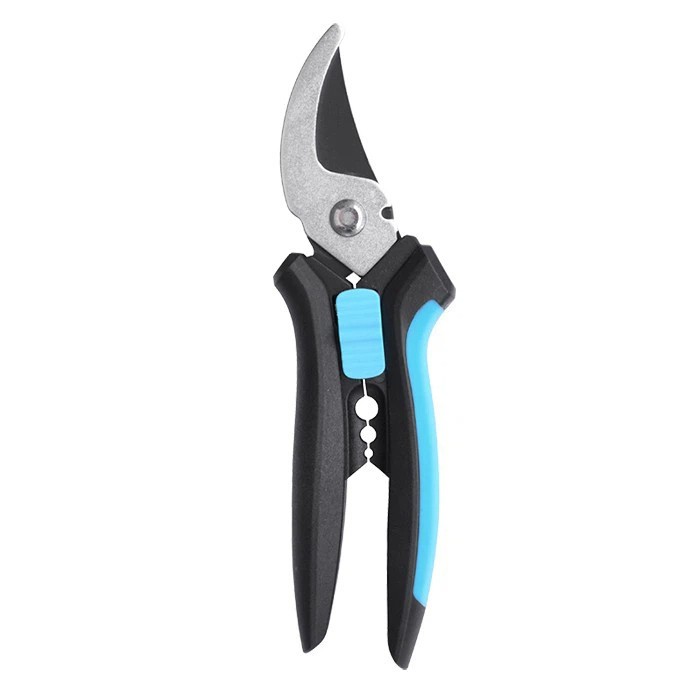 Pruneri de trandafiri profesioniști